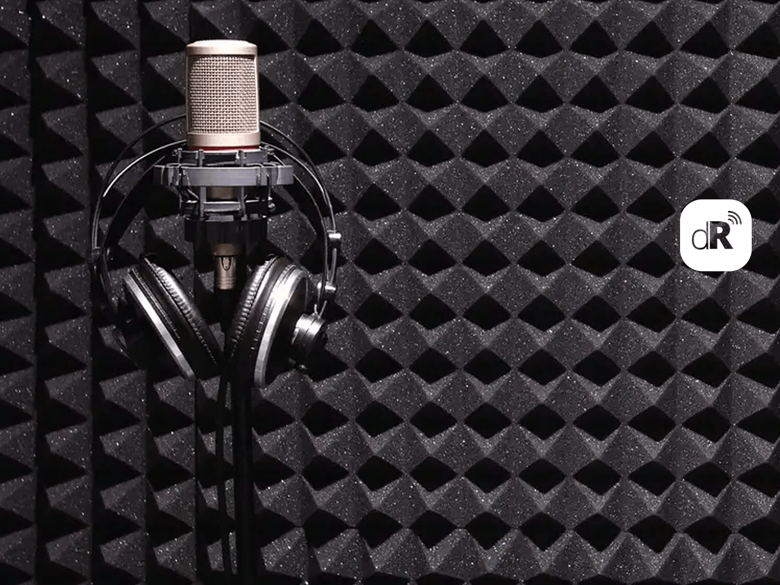 mic
